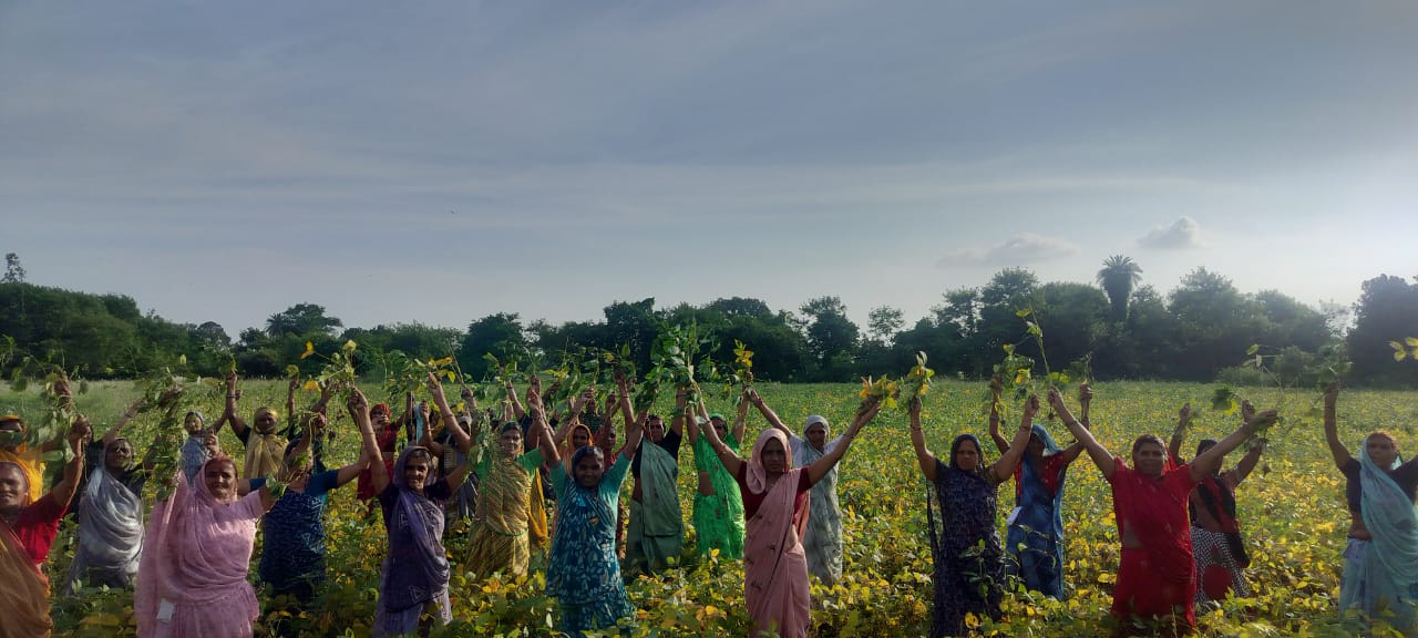 3b8d13fa-6364-4789-84e5-3ff73b11cd30