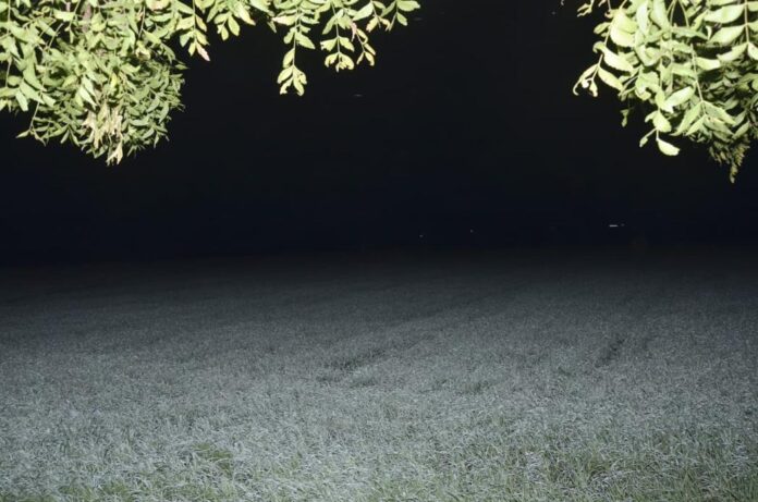 08 sehore photo 05 08 sehore photo 05