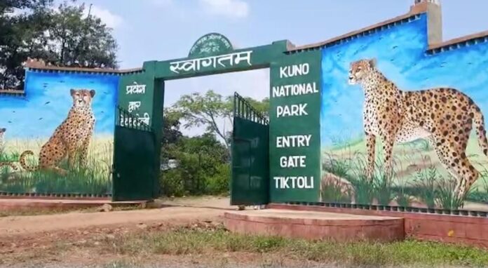 08 sehore photo 08 08 sehore photo 08