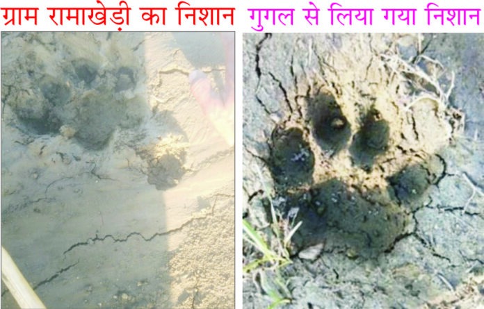 ·¤·¤·¤·¤·¤ ·¤·¤·¤·¤·¤